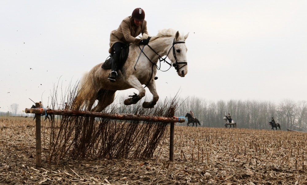 Ruiter en paard van jachtclub Equus nemen een hindernis langs de Uilhoek