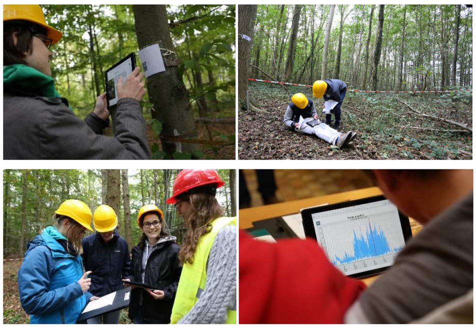 Leerlingen aan het werk in bos en klaslokaal tijdens de Week van de Wetenschap (foto’s: Universiteit Gent)