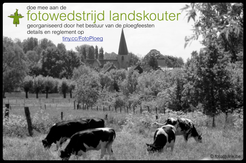 fotowedstrijd1