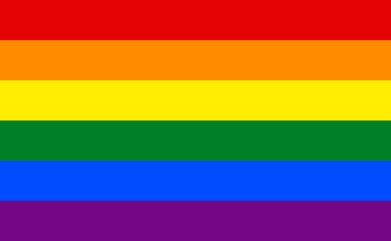 De regenboogvlag, internationaal symbool voor homoseksuele mannen en lesbische vrouwen